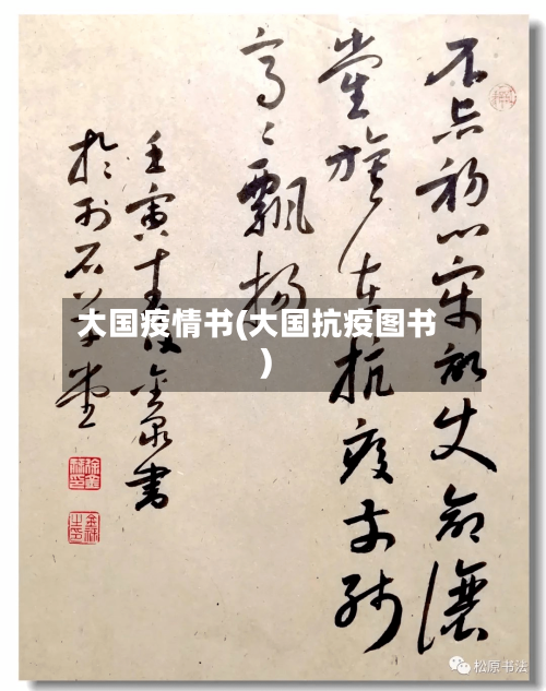 大国疫情书(大国抗疫图书)