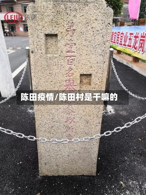 陈田疫情/陈田村是干嘛的-第1张图片