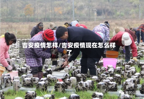 吉安疫情怎样/吉安疫情现在怎么样了