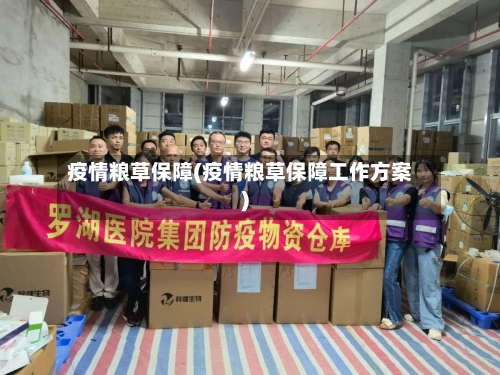 疫情粮草保障(疫情粮草保障工作方案)