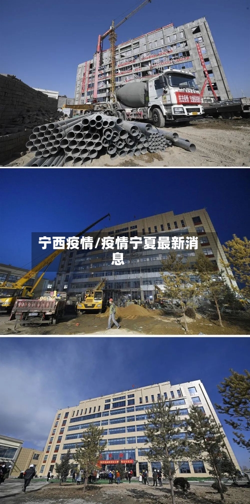 宁西疫情/疫情宁夏最新消息
