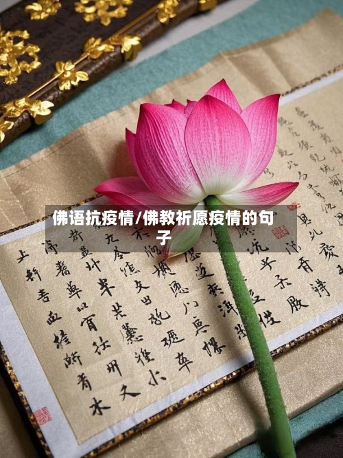 佛语抗疫情/佛教祈愿疫情的句子
