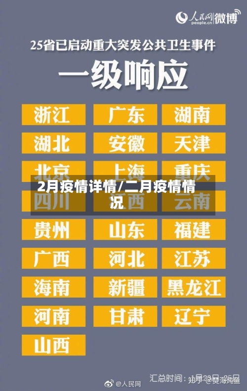 2月疫情详情/二月疫情情况