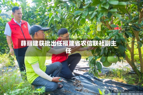 薛丽建获批出任福建省农信联社副主任
