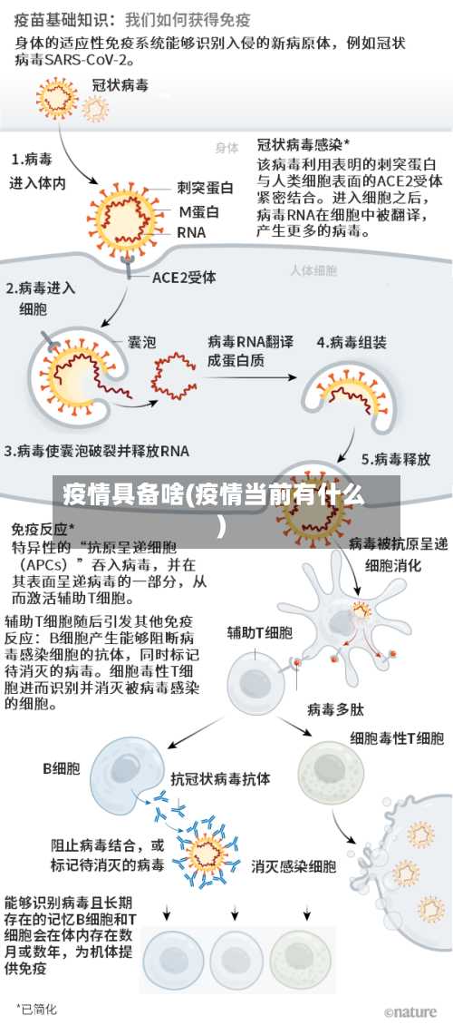疫情具备啥(疫情当前有什么)