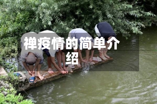禅疫情的简单介绍