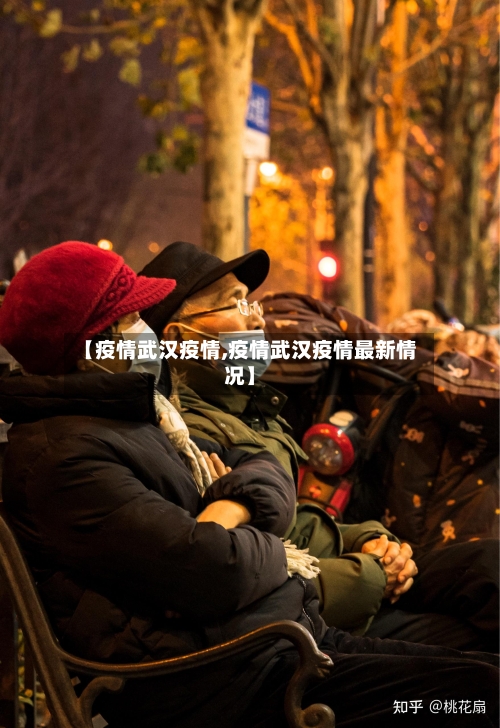 【疫情武汉疫情,疫情武汉疫情最新情况】