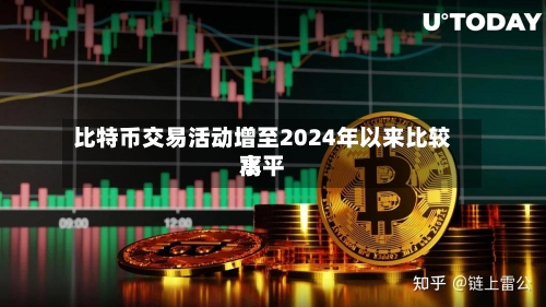 比特币交易活动增至2024年以来比较高水平