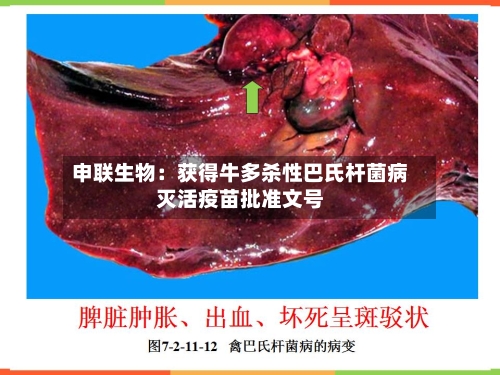 申联生物：获得牛多杀性巴氏杆菌病灭活疫苗批准文号