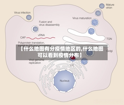 【什么地图有分疫情地区的,什么地图可以看到疫情分布】