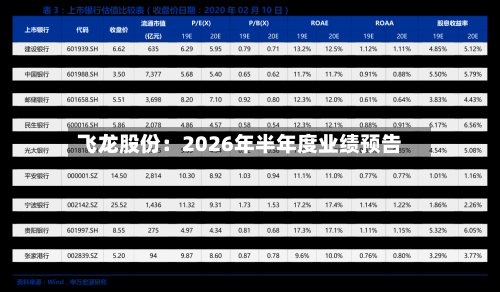 飞龙股份：2026年半年度业绩预告-第1张图片