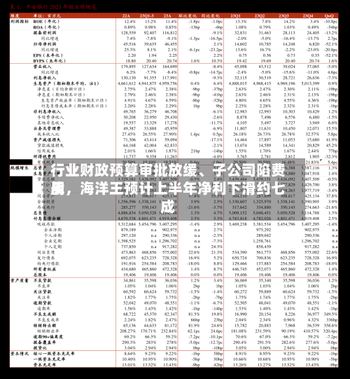 行业财政预算审批放缓、子公司陷费用战，海洋王预计上半年净利下滑约七成