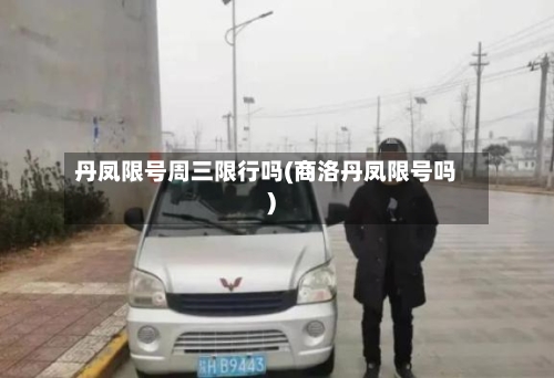 丹凤限号周三限行吗(商洛丹凤限号吗)