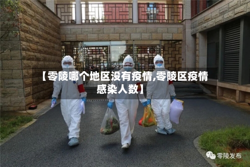 【零陵哪个地区没有疫情,零陵区疫情感染人数】