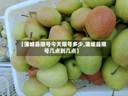 【蒲城县限号今天限号多少,蒲城县限号几点到几点】