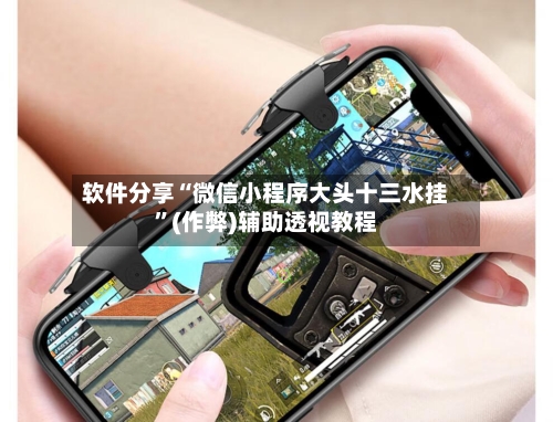 软件分享“微信小程序大头十三水挂”(作弊)辅助透视教程