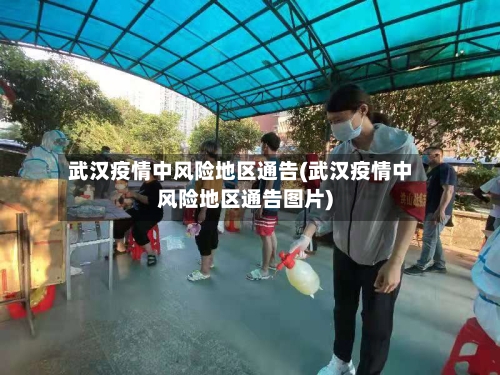 武汉疫情中风险地区通告(武汉疫情中风险地区通告图片)