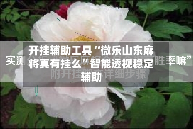 开挂辅助工具“微乐山东麻将真有挂么”智能透视稳定辅助