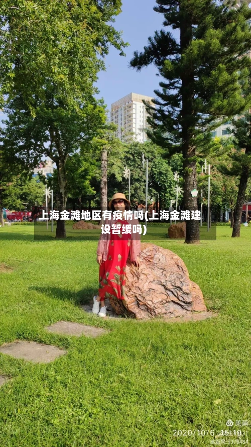 上海金滩地区有疫情吗(上海金滩建设暂缓吗)