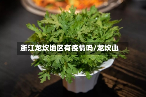 浙江龙坎地区有疫情吗/龙坎山