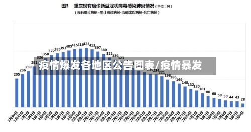 疫情爆发各地区公告图表/疫情暴发