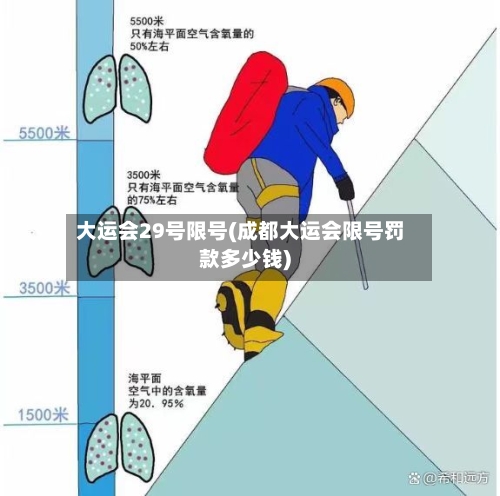 大运会29号限号(成都大运会限号罚款多少钱)