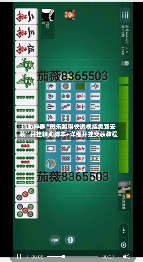 辅助神器“微乐跑得快透视挂免费安装”开挂辅助脚本+详细开挂安装教程