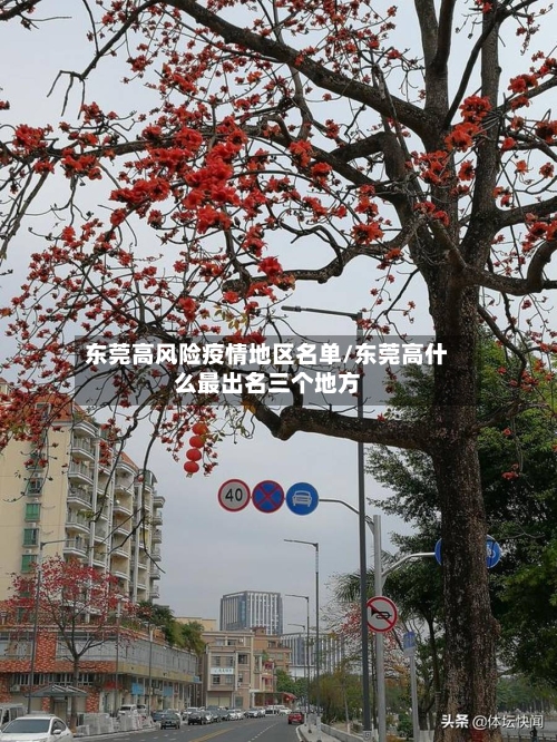 东莞高风险疫情地区名单/东莞高什么最出名三个地方