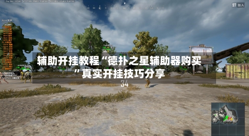 辅助开挂教程“德扑之星辅助器购买”真实开挂技巧分享