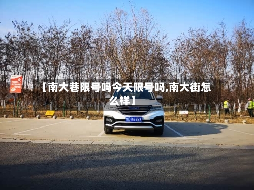 【南大巷限号吗今天限号吗,南大街怎么样】