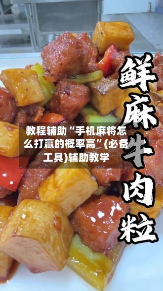 教程辅助“手机麻将怎么打赢的概率高”(必备工具)辅助教学
