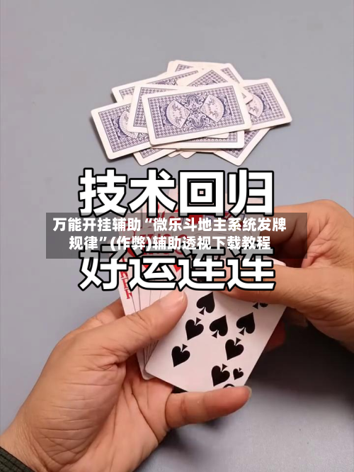 万能开挂辅助“微乐斗地主系统发牌规律”(作弊)辅助透视下载教程