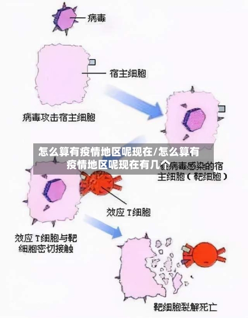 怎么算有疫情地区呢现在/怎么算有疫情地区呢现在有几个