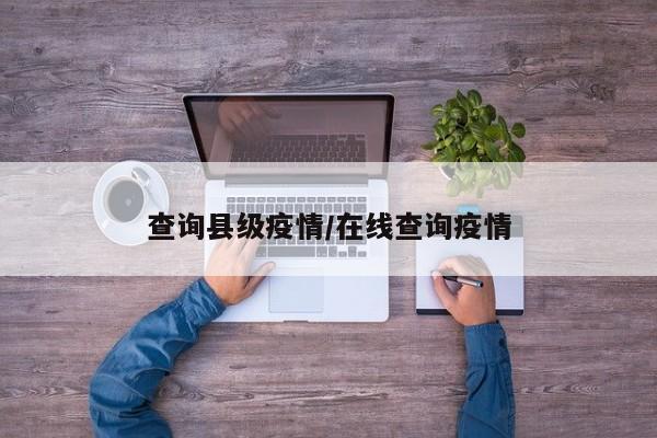 查询县级疫情/在线查询疫情