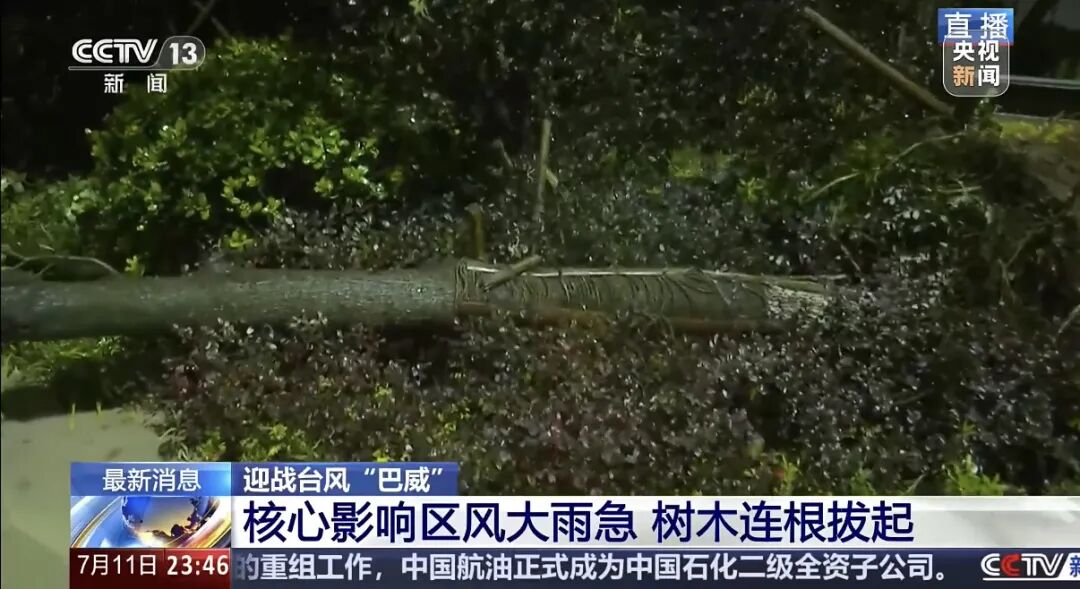 “巴威	”最新路径公布！0时在浙江乐清二次登陆，5时减弱为强热带风暴	，中心最大风力11级